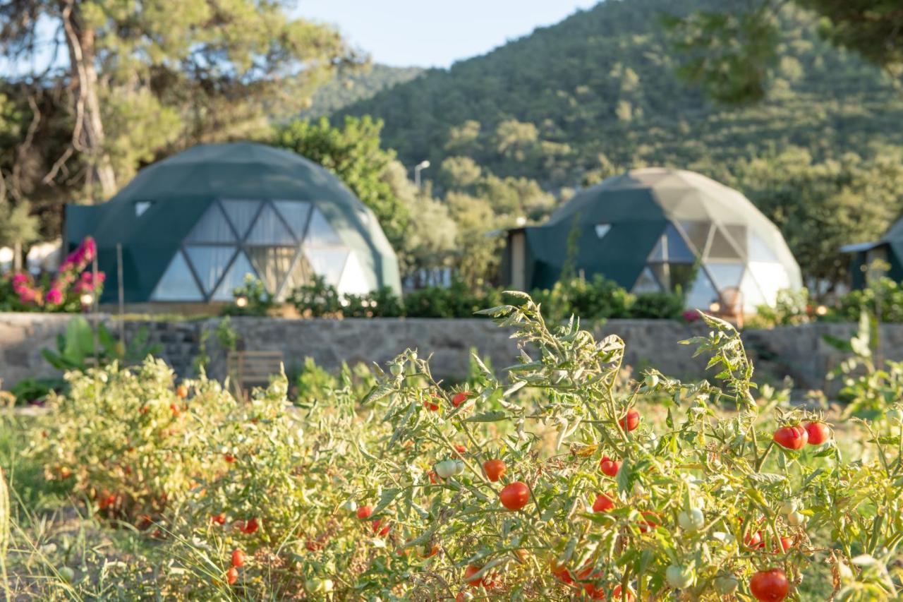 Hotel Lusso Glamping Bodrum Esterno foto